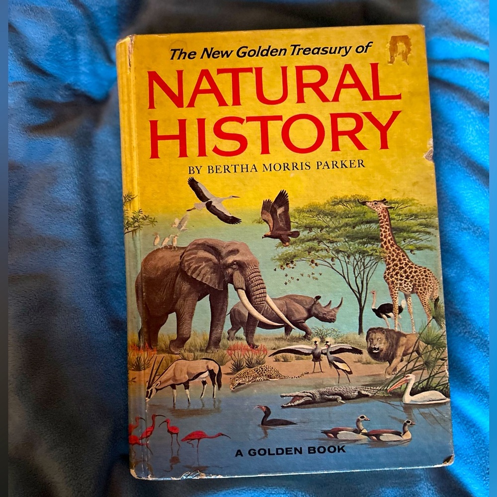 GOLDEN BOOK | Vintage Natural History Book by Bertha Morris Parker | 1973